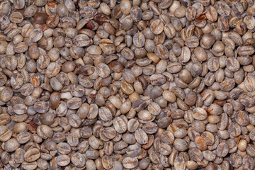 Untoasted organic Coffee beans - coffeea arabica - pattern texture artesanal