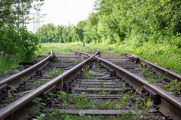 abandoned rail tracks with plants and green trees around.  abandoned  concept.