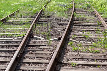 abandoned rail tracks with green plants around.  abandoned  concept.