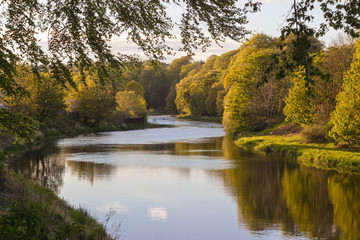 Fototapeta na wymiar The River Don in Seaton Park, Aberdeen
