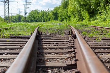 abandoned rail tracks with plants and green trees around.  abandoned  concept.
