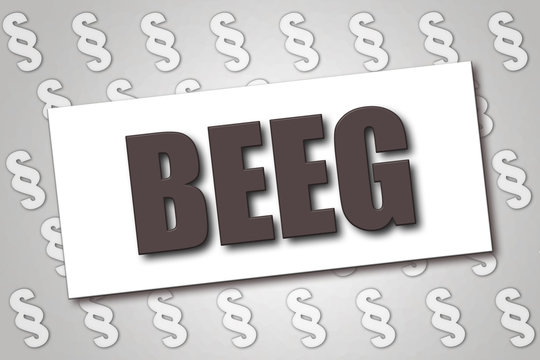 Deutsches Gesetz - BEEG