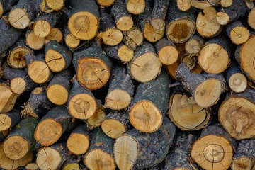 Möbelaufkleber Texture. Stacked round firewood. © Vlamin