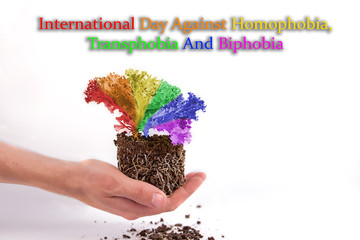 May 17 is an international day against homophobia, transphobia and biphobia. Leaves grow from the hands, painted in the colors of the flag of the LGBT, on a white isolated background