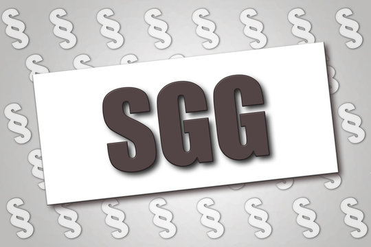Deutsches Gesetz - SGG - Sozialgerichtsgesetz