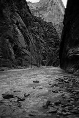 Black and white film scan of the narrows hiking trail in Zion National Park Utah