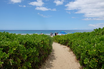 Hapuna beach