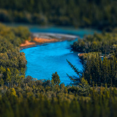 Blue rapid river flows through the wild area with coniferous forest. Altai Republic, Russia. Tilt...