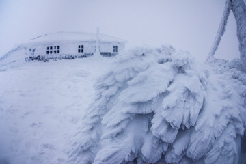  Ice house at meteorological station