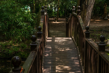 Fototapeta premium Wooden bridge over the creek in a garden.