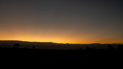 Atardecer con pino solitario