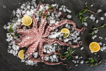 Whole fresh raw octopus with spices and lemon on ice, slate stone background. Seafood octopus, top...