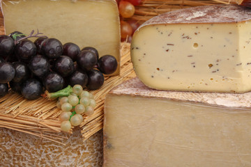 Wine, Cheese, and Grapes in France