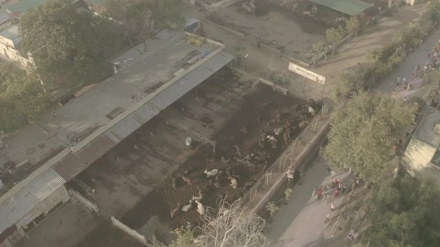 Vrindavan, Prem Mandir. India, 4k aerial ungraded