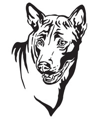 Decorative portrait of Thai Ridgeback Dog vector illustration