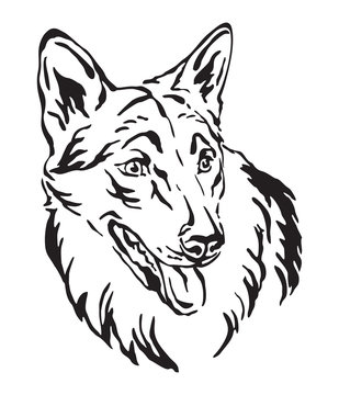 Decorative portrait of Czechoslovakian Wolfdog vector illustration