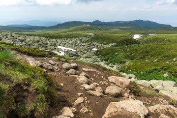 Green hills of Vitosha Mountain near Cherni Vrah Peak, Sofia City Region, Bulgaria
