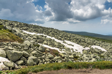 Fototapeta na wymiar Green hills of Vitosha Mountain near Cherni Vrah Peak, Sofia City Region, Bulgaria