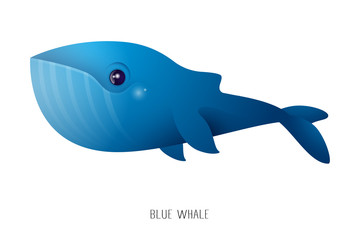 blue whale cartoon isolated over white background. vector