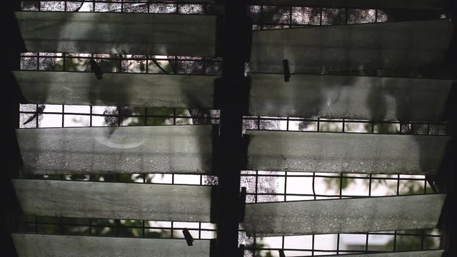 Steady, interior, medium close up shot of a window with canted glass and fence. Some trees can be seen through the window.