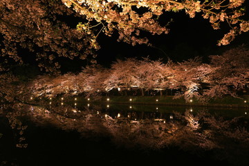 春の弘前公園