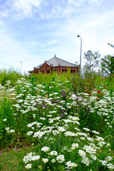 warehouse in Yokohama garden