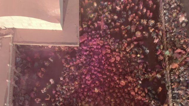 Color battle at the holi festival in India, 4k aerial shot ungraded