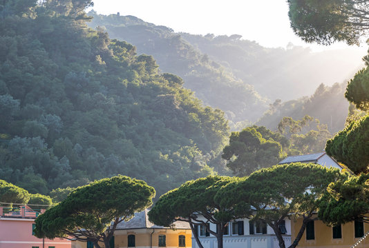 Sunset over Paraggi village in Santa Margherita Ligure on Mediterranean seacoast, Italy