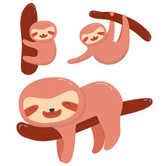 Cute sloth set collection