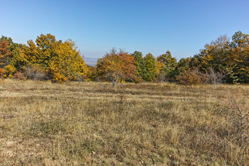 Obraz premium Autumn panorama of Cherna Gora (Monte Negro) mountain, Pernik Region, Bulgaria