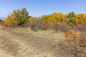Fototapeta premium Autumn panorama of Cherna Gora (Monte Negro) mountain, Pernik Region, Bulgaria