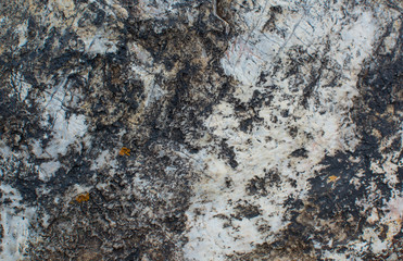 The texture of the stone. Natural background. Abstract patterns
