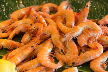 Close up of fresh boiled tiger shrimp