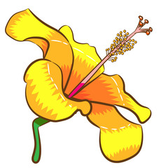 flower vector clipart design 