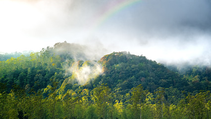 Cloud Forest with Rainbow on The Top Of it. Mountain Hill Forest on Autumn. Silvagenitus Cloud Develops Locally Over Forests Due To Increase Humidity and Evaporation From the Tree Canopy.