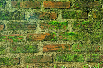 Green wall, Brick wall with lichen hand For background.