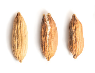 Three Kapok Seed Pods on White Background. Middle Kapok Seed Pod Crack Open Showing its Silky Fibre. Ceiba pentandra seeds.