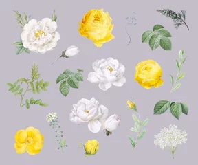 Blumenmuster-Hintergrund © Rawpixel.com