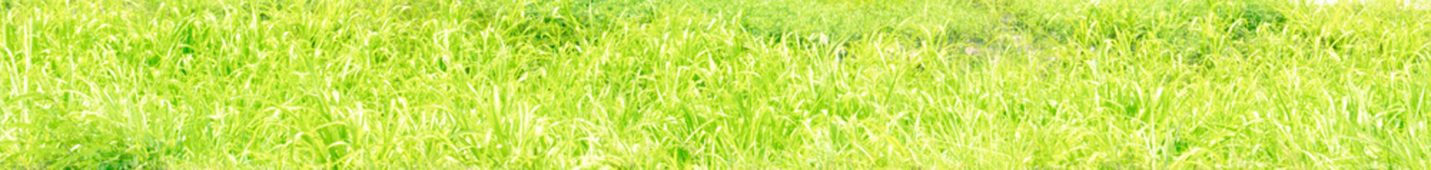 The image of the natural beauty that God created With both hardness, gentle, natural balance