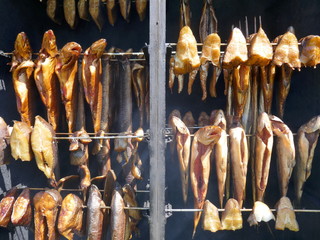 Salmon, halibut,herring,trout and mackerel are smoked in a smoking oven