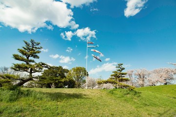 日本5月の風景　節句（鯉のぼり）