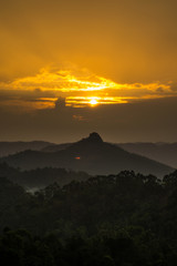 Golden Hour at Munnar