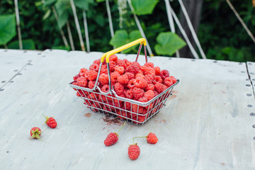 Mini shopping basket full of fresh red ripe raspberry on vintage background