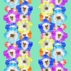 Geranium, pelargonium. Seamless pattern texture of flowers. Floral background, photo collage