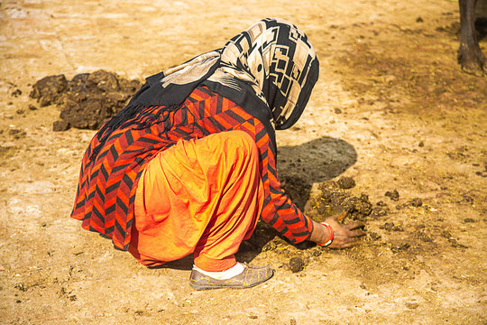 53,786 BESTE Dung BILDER, STOCKFOTOS & Adobe Stock