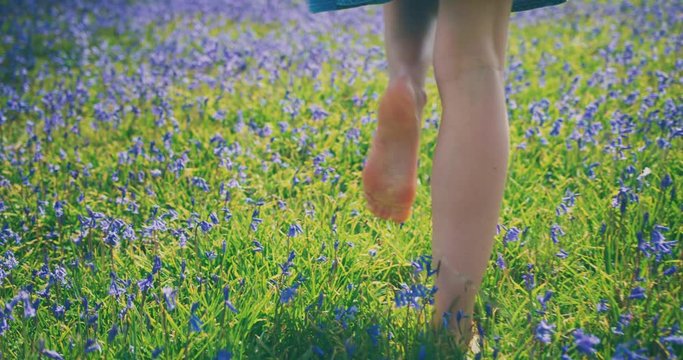 Barefoot woman walking through bluebells in meadow