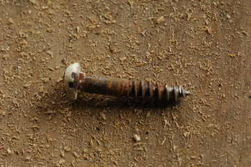 Macro of Old Screws on Floorboards