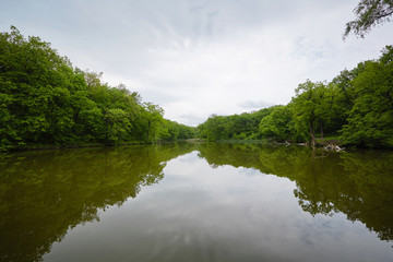 Fototapeta na wymiar Forest Lake, in spring. Pond.
