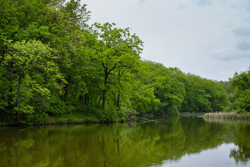 Forest Lake, in spring. Pond.