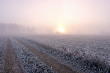 field